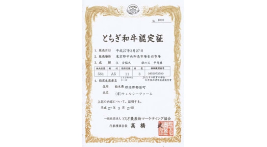 82c682bf82ac98a8b8d94f92e88fac.jpg